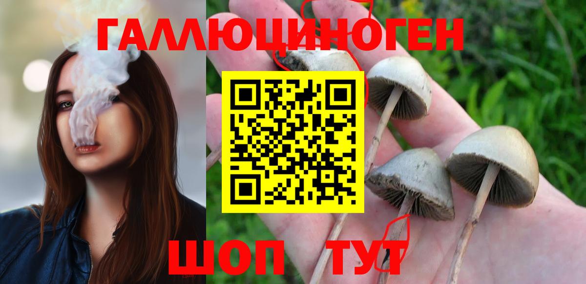 Галлюциногенные грибы прущие грибы Михайловск