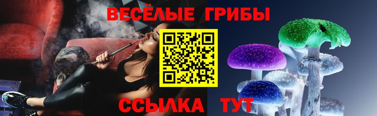 Псилоцибиновые грибы GOLDEN TEACHER  Галлюциногенные грибы Psilocybine cubensis  Михайловск  Вход с VPN 